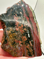 8th Vein Ocean Jasper Slab #46