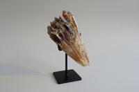 Natural Amber Calcite Raw Specimen UV Reactive #2