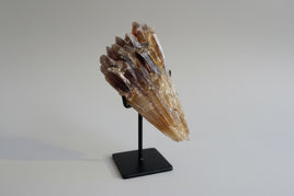 Natural Amber Calcite Raw Specimen UV Reactive #2