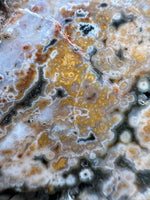 8th Vein Ocean Jasper Slab #40