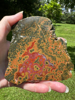8th Vein Ocean Jasper Slab #105