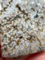 8th Vein Ocean Jasper Slab #41