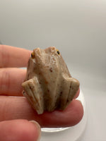 Carved Frog Soapstone #2