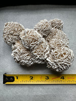 Selenite "Desert Rose," Samalayuka Desert, Chihuahua, Mexico #1