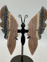 Fluorite Butterfly Wings & Stand #3