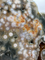 8th Vein Ocean Jasper Slab #13