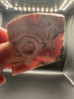 Natural Rhodochrosite Slab #8 – Pink Banded Orb & Druzy Crystal Mineral Specimen