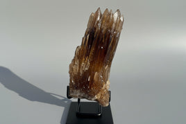 Natural Amber Calcite Raw Specimen UV Reactive #14