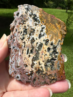 8th Vein Ocean Jasper Slab #36