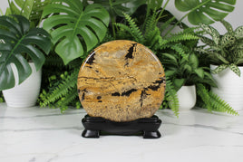Natural Picture Jasper Slab with Stand #7