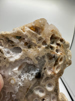 8th Vein Ocean Jasper Slab #26