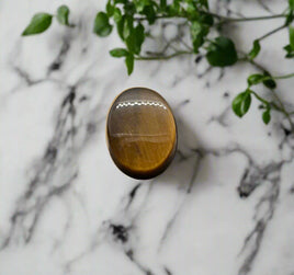 Tiger Eye 8x6mm Oval 0.85ct