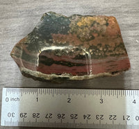 8th Vein Ocean Jasper Slab #60