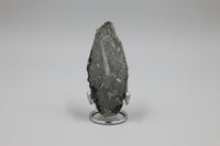 Natural Orthoceras Fossil Specimen #5