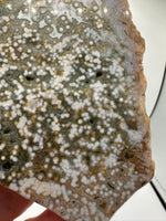 8th Vein Ocean Jasper Slab #8