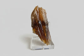 Natural Amber Calcite Raw Specimen UV Reactive #11