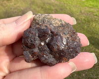 Andradite Garnet Specimen, Zacatecas, Mexico