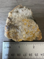 8th Vein Ocean Jasper Slab #69