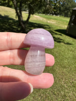 Fluorite Mushroom Carving #23
