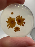 Scenic Dendritic Agate Cabochon #4