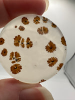 Scenic Dendritic Agate Cabochon #11
