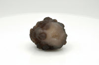 Panda Agate aka Truffle Chalcedony #6