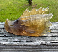 Fluorite Dragon Head Carving #20