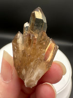 Natural Kundalini Citrine Lightbrary Crystal #13