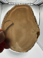 Natural Agate Slab #4