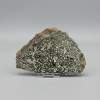 8th Vein Ocean Jasper Slab #8