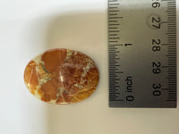 Maligano Jasper Cabochon #4