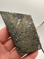 Free Form Pyrite Flowers Symbiosis Mixed Agate Slab #4