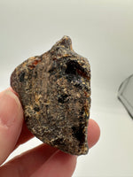 Madagascar Raw Amber Specimen #1