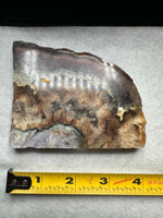 Fluorite Mixed Cube Pyrite & Acicular Slab #4