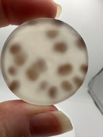 Scenic Dendritic Agate Cabochon #11