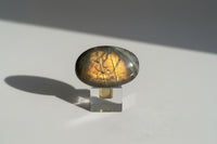 Labradorite Palmstone #26