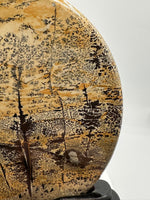 Natural Picture Jasper Slab with Stand #5