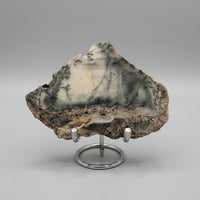 Dendritic Opal Slab