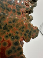 8th Vein Ocean Jasper Slab #1