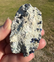 Azurite, Sierra Rica, Chihuahua, Mexico