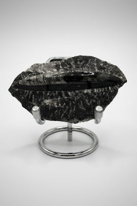 Natural Orthoceras Fossil Specimen #21