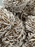 Selenite "Desert Rose," Samalayuka Desert, Chihuahua, Mexico #1
