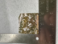 Ocean Jasper Free-form #1