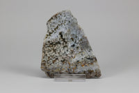 8th Vein Ocean Jasper Slab #41