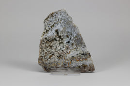 8th Vein Ocean Jasper Slab #41