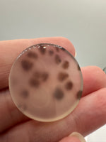 Scenic Dendritic Agate Cabochon #5