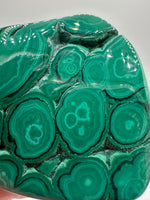 Polished Malachite Freeform Zaire, Africa #8