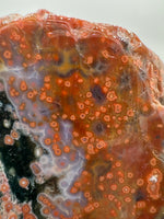 8th Vein Ocean Jasper Slab #25