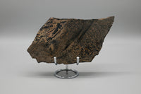 Nevada Picture Jasper Slab #2 - Old Stock