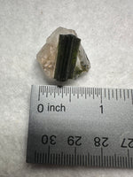 Natural Quartz with Green Tourmaline Crystal – Minas Gerais, Brazil Mineral Specimen